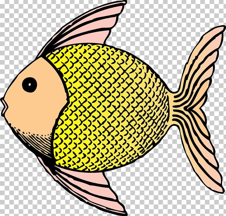 Fish Drawing PNG, Clipart, Artwork, Beak, Black And White, Clownfish, Drawing Free PNG Download