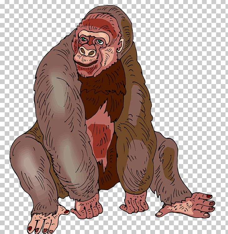 Western Gorilla Free Content PNG, Clipart, Animation, Big Cats, Blog, Carnivoran, Cartoon Free PNG Download