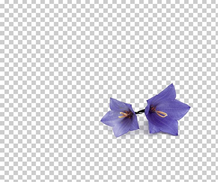 Bow Tie PNG, Clipart, 3meopcp, Bow Tie, Cobalt Blue, Flower, Lilac Free PNG Download