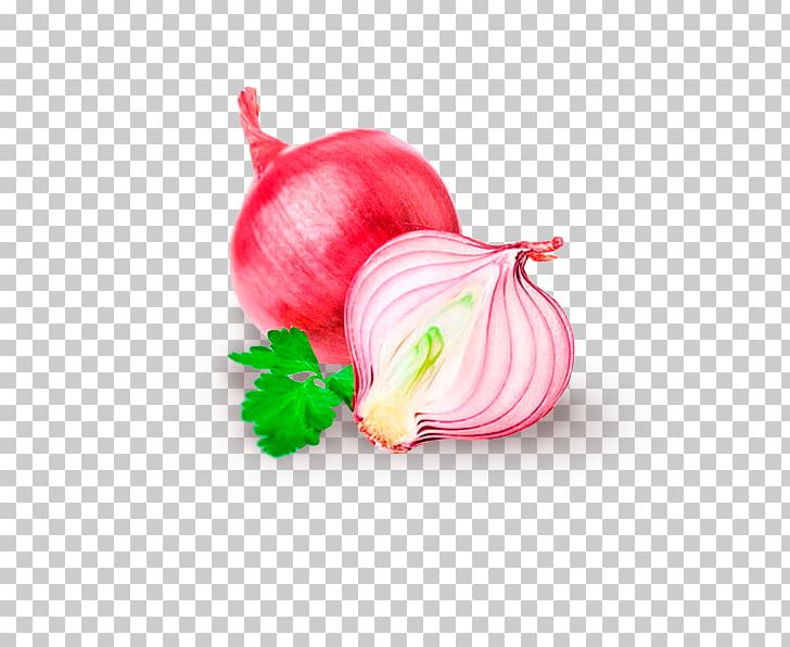 Red Onion Food Stock Photography Health Shallot PNG, Clipart, Black Pepper, Bumbu, Cheez, Food, Fruit Free PNG Download