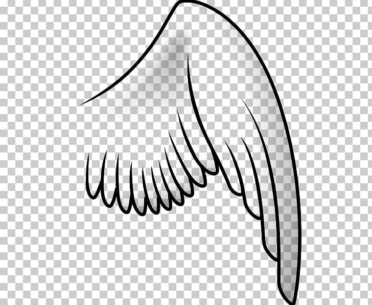 Buffalo Wing PNG, Clipart, Angel, Angel Wing, Artwork, Beak, Black And White Free PNG Download