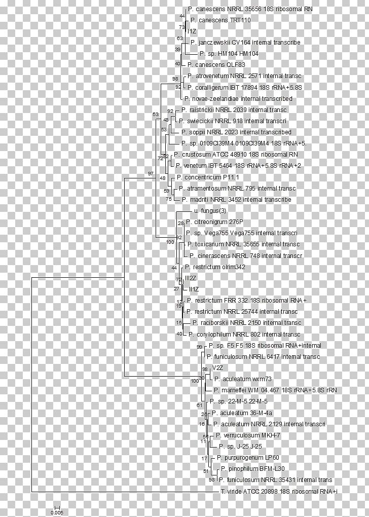 Document Angle White PNG, Clipart, Angle, Area, Black And White, Diagram, Document Free PNG Download