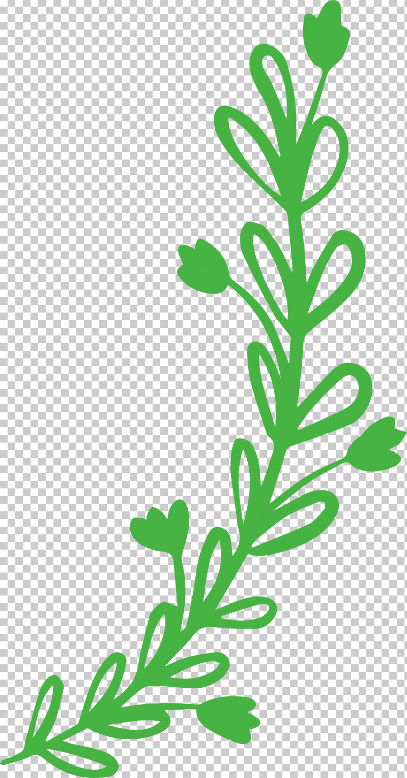 Plant Stem Leaf Leaf Vegetable Flower Meter PNG, Clipart, Biology, Flower, Leaf, Leaf Vegetable, Meter Free PNG Download