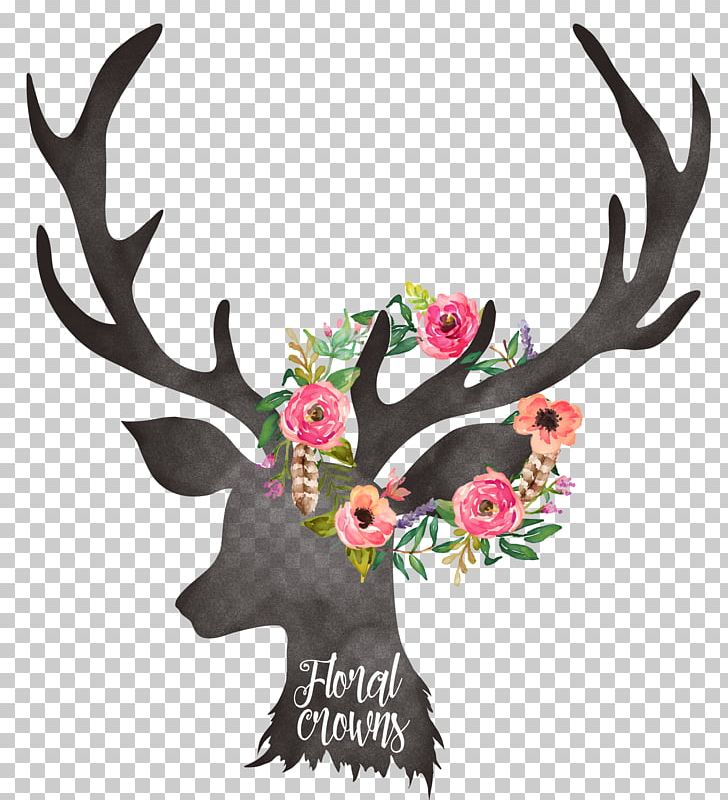 Deer Antler Floral Design PNG, Clipart, Antler, Antlers, Art, Canvas Print, Deer Free PNG Download