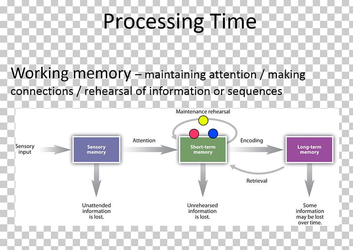 Learning Eidetic Memory Diagram Atkinson–Shiffrin Memory Model PNG, Clipart, Area, Brand, Communication, Computer Memory, Diagram Free PNG Download