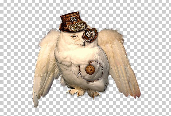Steampunk HTTP Cookie Animal PNG, Clipart, Animal, Beak, Bird, Bird Of Prey, Fictional Character Free PNG Download