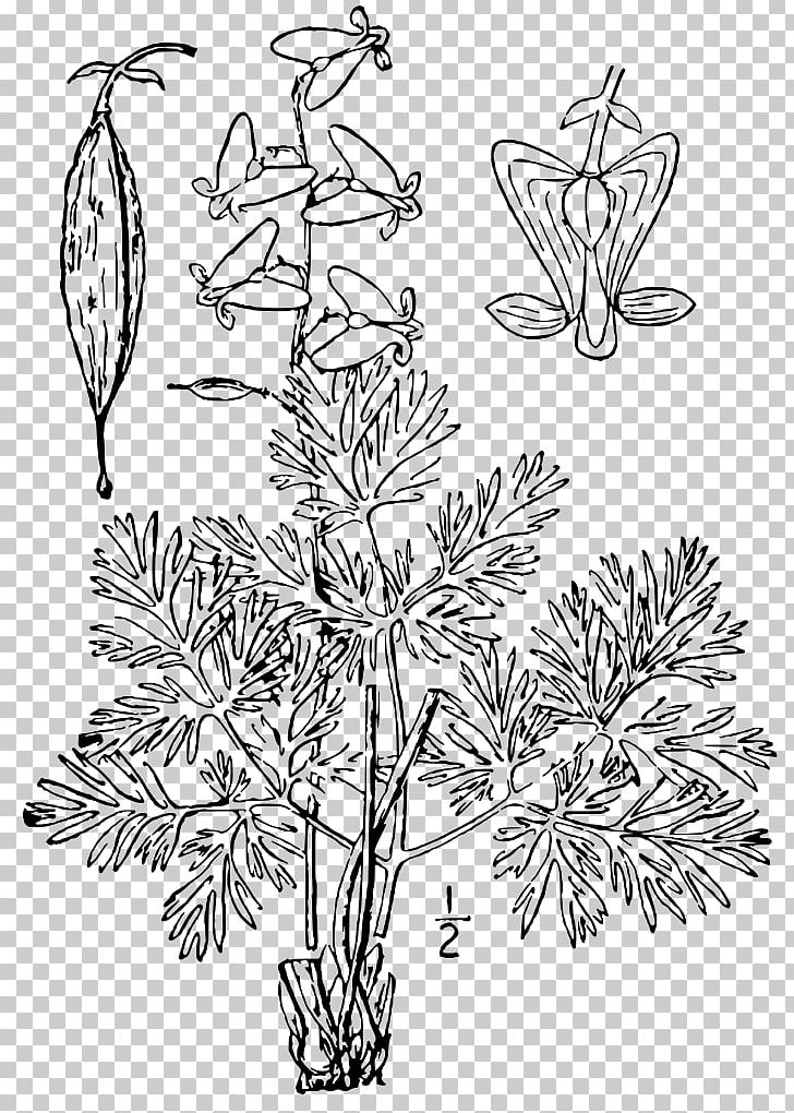 Twig Floral Design Plant Stem Leaf PNG, Clipart, Black And White, Branch, Dicentra Cucullaria, Flora, Floral Design Free PNG Download