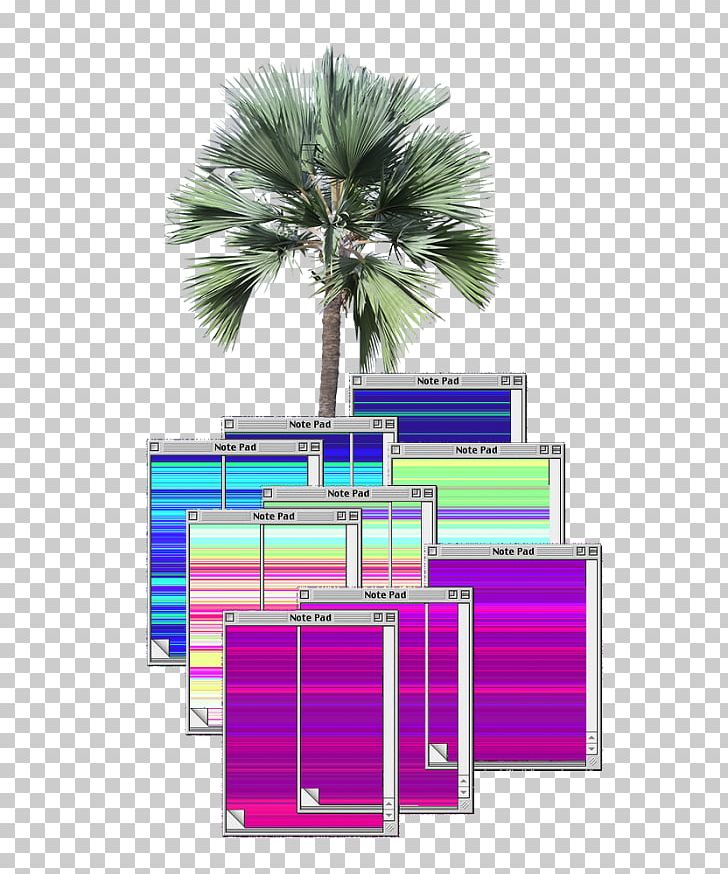 Arecaceae Tree Latania Architecture Plant PNG, Clipart, Architectural Rendering, Architecture, Arecaceae, Arecales, Attalea Free PNG Download