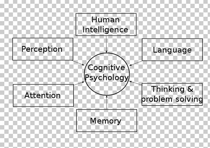 Cognitive Psychology Cognition History Of Psychology Psychologist PNG, Clipart, Angle, Area, Circle, Cognition, Cognitive Psychology Free PNG Download