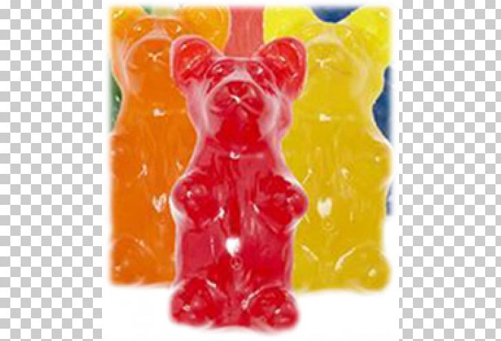 Gummy Bear Gummi Candy Flavor PNG, Clipart, Animals, Bear, Blue, Blue Raspberry Flavor, Candy Free PNG Download