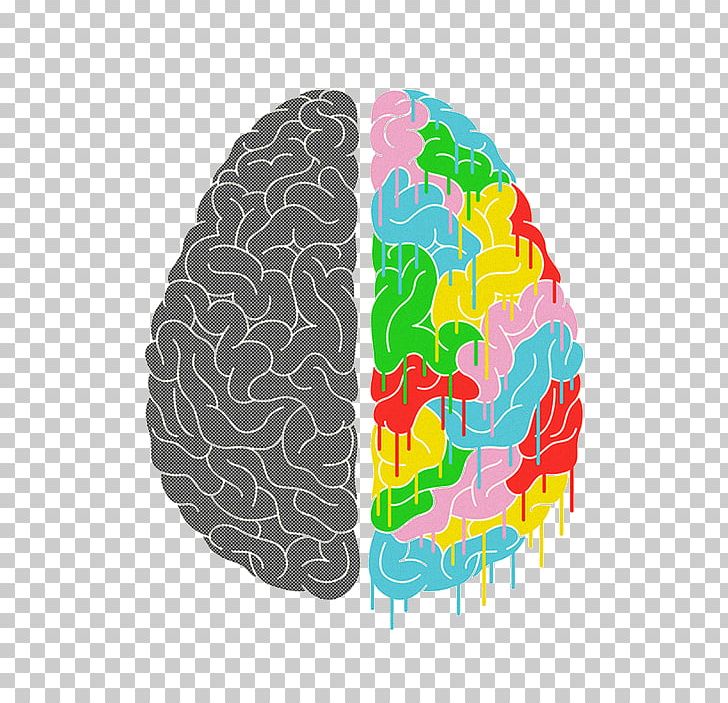 Lateralization Of Brain Function Human Brain Poster PNG, Clipart, Acetylcholine, Aniracetam, Brain, Cognition, Creativity Free PNG Download