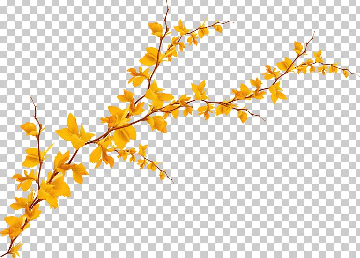 Leaf Yellow Ginkgo Biloba PNG, Clipart, Are, Autumn, Autumn Leaf Color, Autumn Leaves, Autumn Tree Free PNG Download