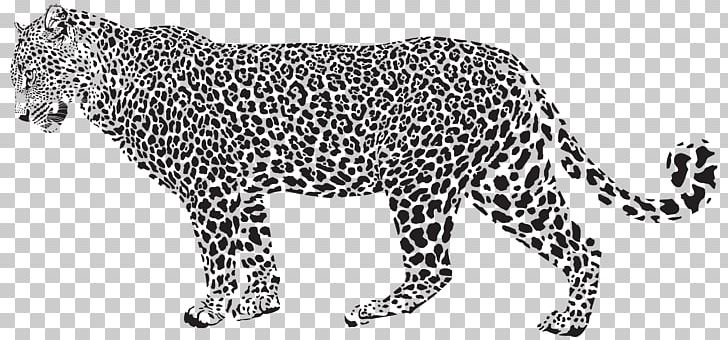 Leopard Cheetah Tiger PNG, Clipart, Animals, Big Cats, Black, Black And White, Carnivoran Free PNG Download