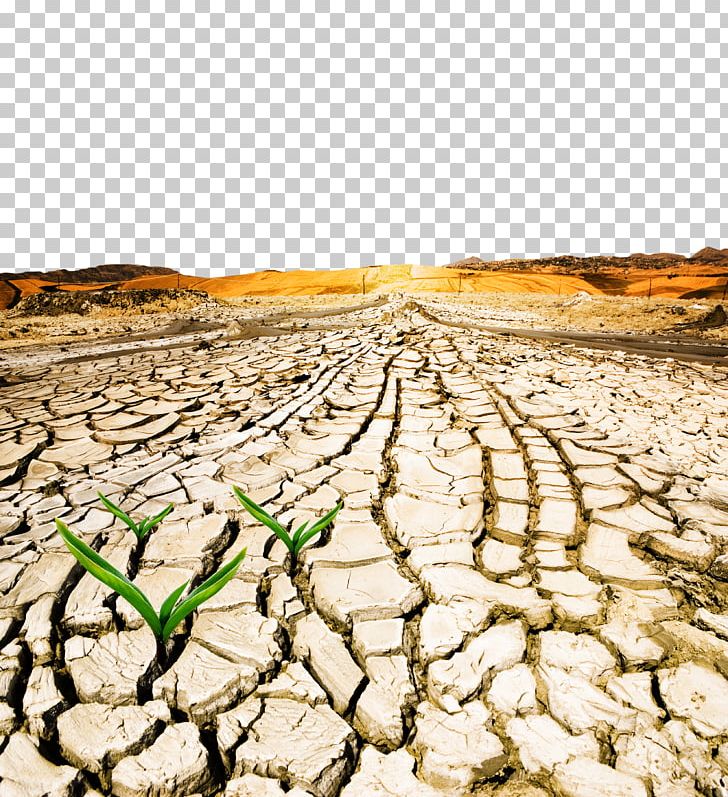 World Day To Combat Desertification And Drought Drylands PNG, Clipart, Dry, Grass, Landscape, Miscellaneous, Pay Free PNG Download