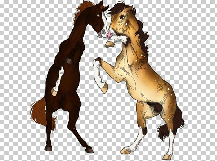 Mustang Foal Stallion Halter Bridle PNG, Clipart,  Free PNG Download