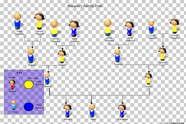 Pedigree Chart Genetics Phenotypic Trait Organism Family Tree PNG, Clipart, Area, Autosome, Brand, Cloning, Communication Free PNG Download