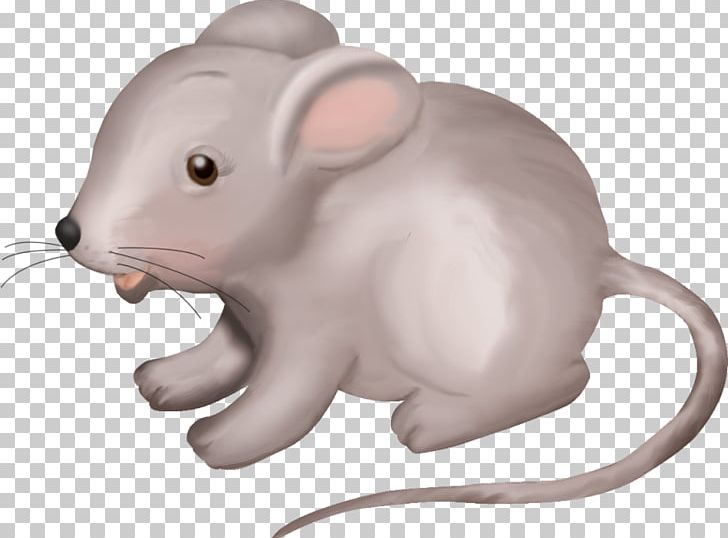 Whiskers Computer Mouse Snout Animal PNG, Clipart, Animal, Animal Figure, Animated, Computer Mouse, Electronics Free PNG Download
