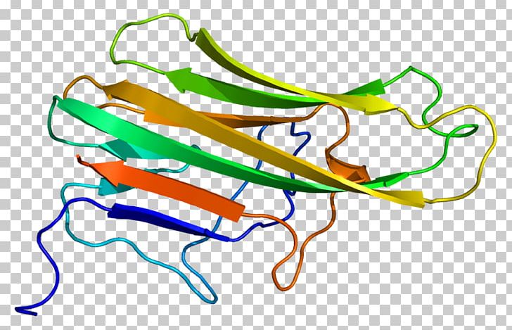 CD154 CD40 Protein Tumor Necrosis Factor Superfamily Ligand PNG, Clipart, Area, Artwork, Cd40, Cd154, Cytokine Free PNG Download