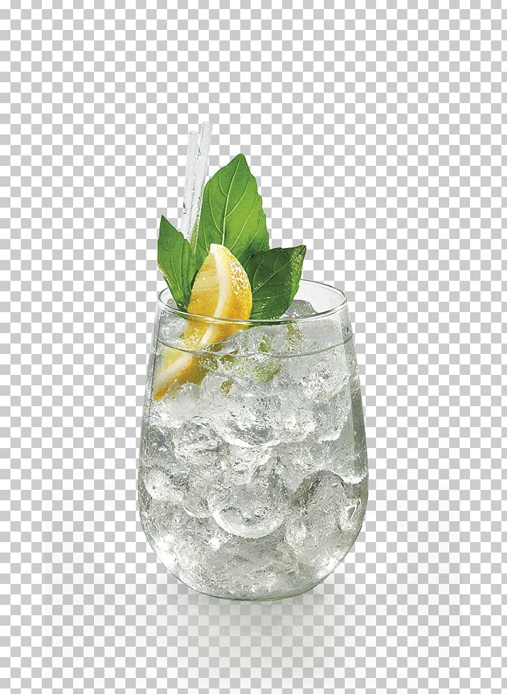 Gin And Tonic Rebujito Cocktail Garnish Vodka Tonic Tonic Water PNG, Clipart, Cocktail, Cocktail Garnish, Drink, Food Drinks, Fresh Lemonade Free PNG Download