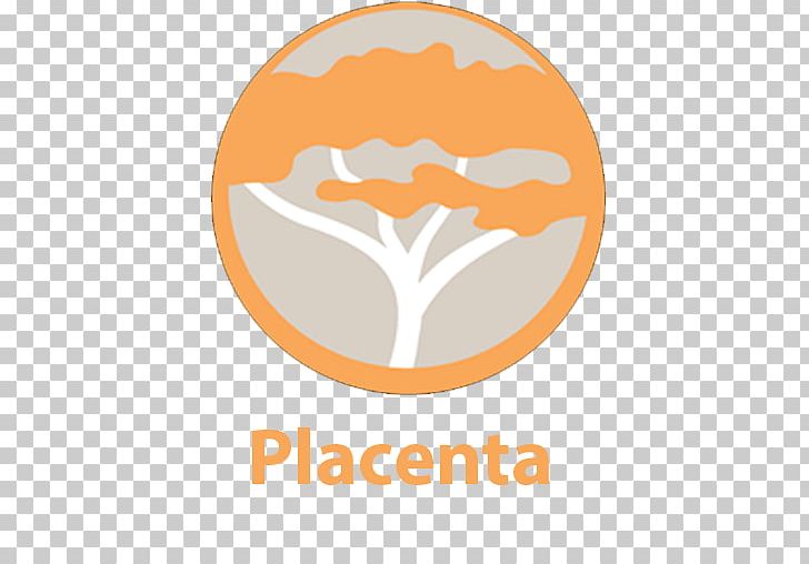 Kodi Placenta Plug-in Add-on Installation PNG, Clipart, Addon, Area, Brand, Directory, Installation Free PNG Download