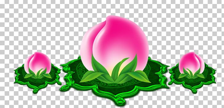 Yunnan Longevity Peach Falun Gong PNG, Clipart, Computer Wallpaper, Download, Flora, Flower, Flowering Plant Free PNG Download