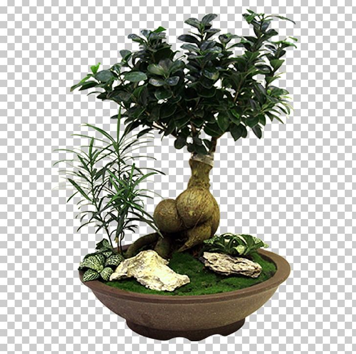 Exquisite Potted Plants PNG, Clipart, Artificial Flower, Beautiful, Bonsai, Elegant, Exquisite Free PNG Download