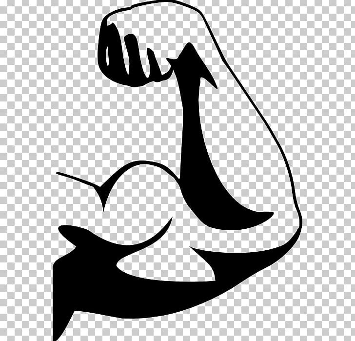 Biceps Muscle Arm PNG, Clipart, Arm, Art, Artwork, Beak, Biceps Free PNG Download