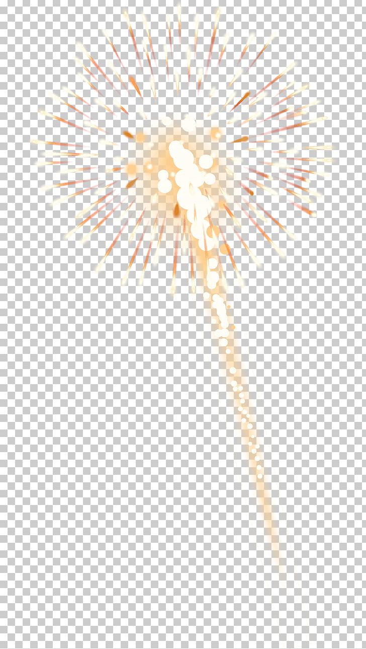 Line Sky Plc PNG, Clipart, Art, Flower, Flowering Plant, Galaxy Fireworks Inc, Line Free PNG Download