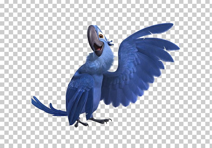 Macaw Parrot Bird Common Pet Parakeet PNG, Clipart, Anne Hathaway, Beak, Bird, Blu, Blu 3 Free PNG Download