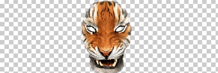 Simple Tiger Mask PNG, Clipart, Clothes, Masks Free PNG Download