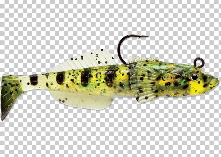 Spoon Lure Perch Reptile Rapala Sculpins PNG, Clipart, Bait, Bony Fish, Fish, Fishing Bait, Fishing Lure Free PNG Download