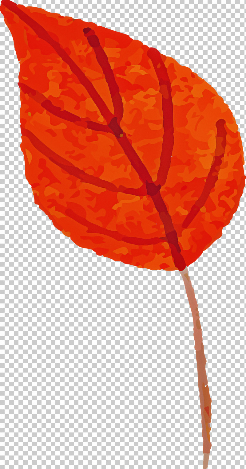 Autumn Leaf Colorful Leaf PNG, Clipart, Autumn, Autumn Leaf, Biology, Colorful Leaf, Drawing Free PNG Download