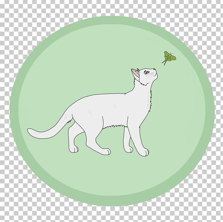 Whiskers Cat Dog Green Mammal PNG, Clipart, Animated Cartoon, Canidae, Carnivoran, Cat, Cat Like Mammal Free PNG Download