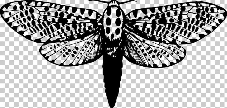 Butterfly Giant Leopard Moth Drawing PNG, Clipart, Arthropod, Black And White, Brush Footed Butterfly, Butterfly, Caterpillar Free PNG Download