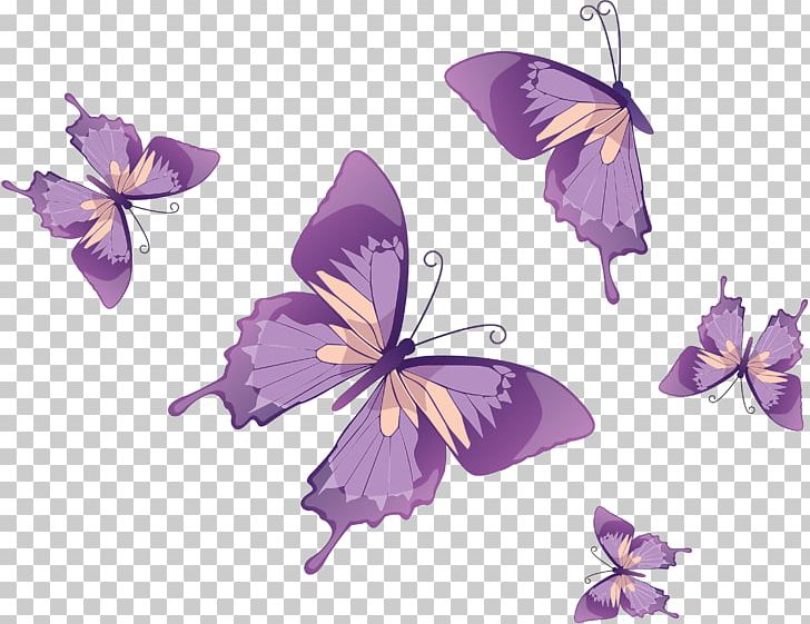 Butterfly PNG, Clipart, Brush Footed Butterfly, Butterfly, Color, Computer Icons, Download Free PNG Download