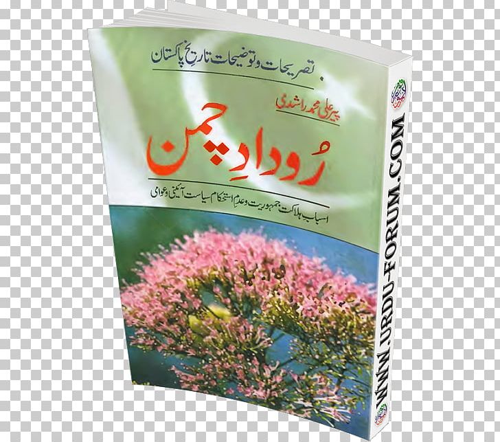 Flower PNG, Clipart, Flower, Grass, Mohamed Ali Free PNG Download