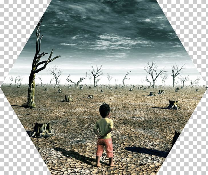 Global Warming Acid Rain Climate Change Human Impact On The Environment PNG, Clipart, Acid, Acid Rain, Air Pollution, Climate, Climate Change Free PNG Download