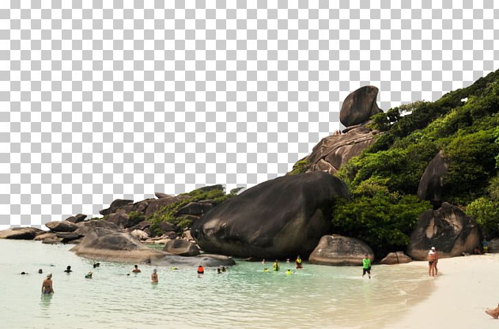 Island Beach PNG, Clipart, Adobe Illustrator, Beach, Beaches, Beach Party, Beak Free PNG Download