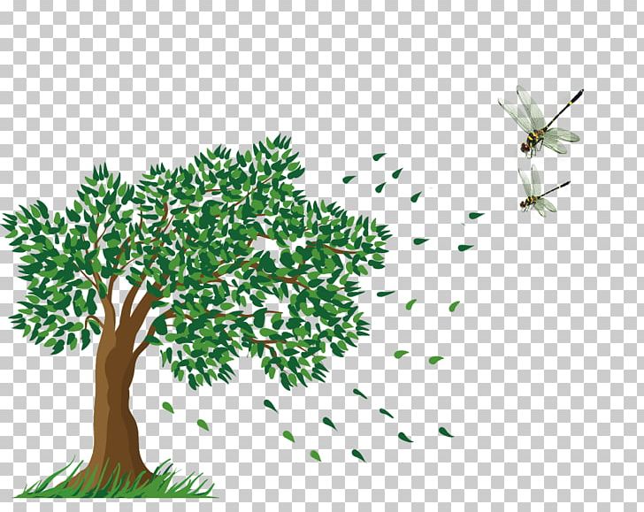 Tree PNG, Clipart, Arecaceae, Banana Leaves, Blow, Branch, Color Free PNG Download