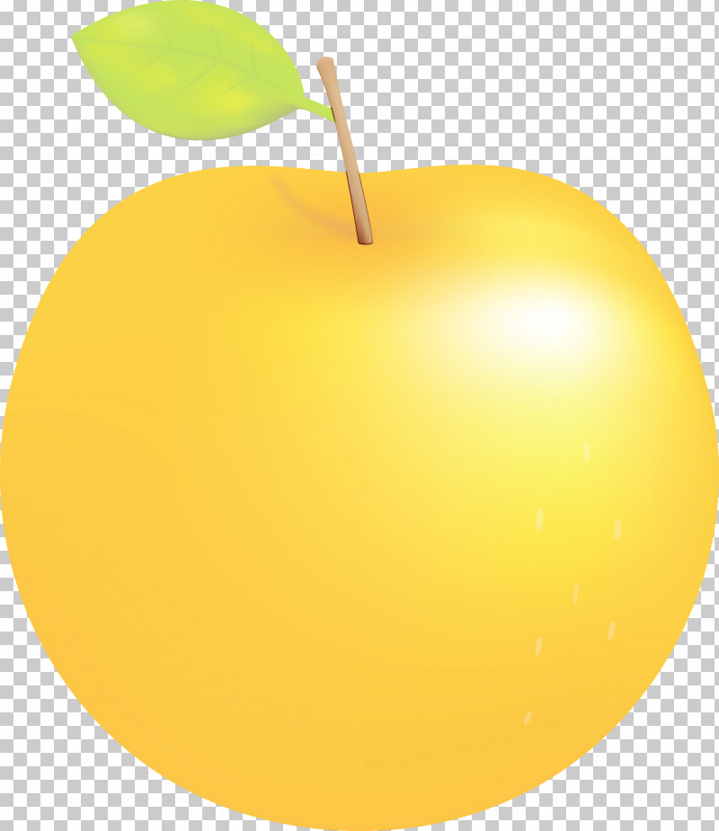 Yellow Fruit Apple Apple PNG, Clipart, Apple, Cartoon Apple, Fruit, Paint, Watercolor Free PNG Download