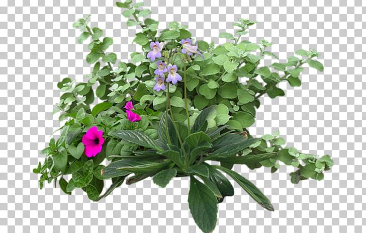 Shrub Tree Landscape PNG, Clipart, Annual Plant, Deco, Download, Flower, Flowering Plant Free PNG Download