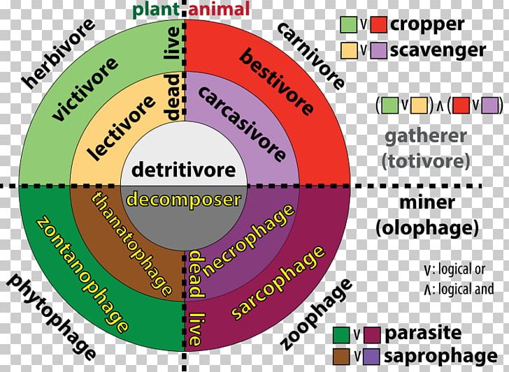 Trophic Level Consumer-resource Systems Detritivore Herbivore PNG, Clipart, Animal, Area, Biology, Brand, Carnivore Free PNG Download