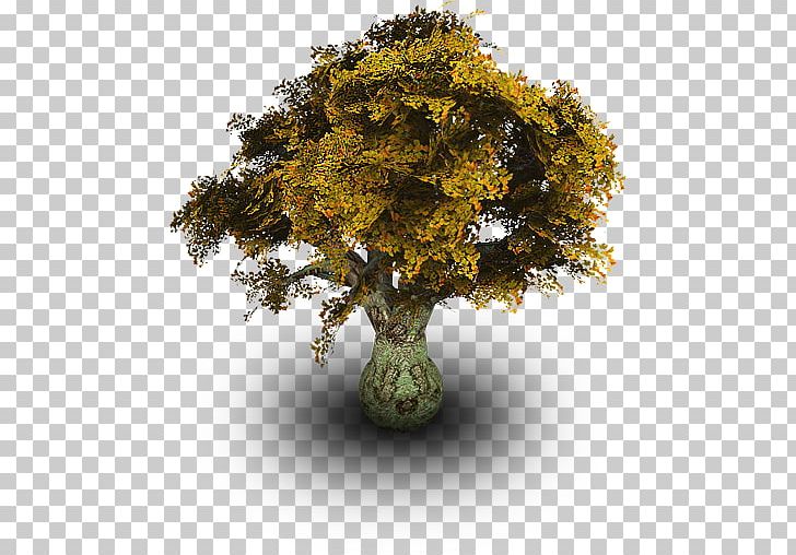 Computer Icons Tree Plant PNG, Clipart, Apple Icon Image Format, Christmas Tree, Computer Icons, Deciduous, Download Free PNG Download
