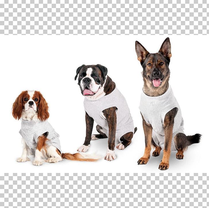Dog T-shirt Snap Fastener Cat Flamingos PNG, Clipart, Animals, Bodysuit, Carnivoran, Cat, Clothing Free PNG Download