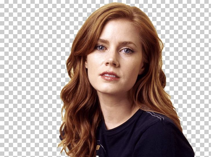 Amy Adams PNG, Clipart, Amy Adams, At The Movies Free PNG Download