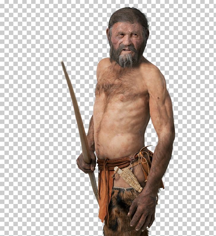 Iceman Ötzi Neandertal Mummy Homo Sapiens PNG, Clipart, Alps, Archaeology, Arm, Beard, Bog Body Free PNG Download