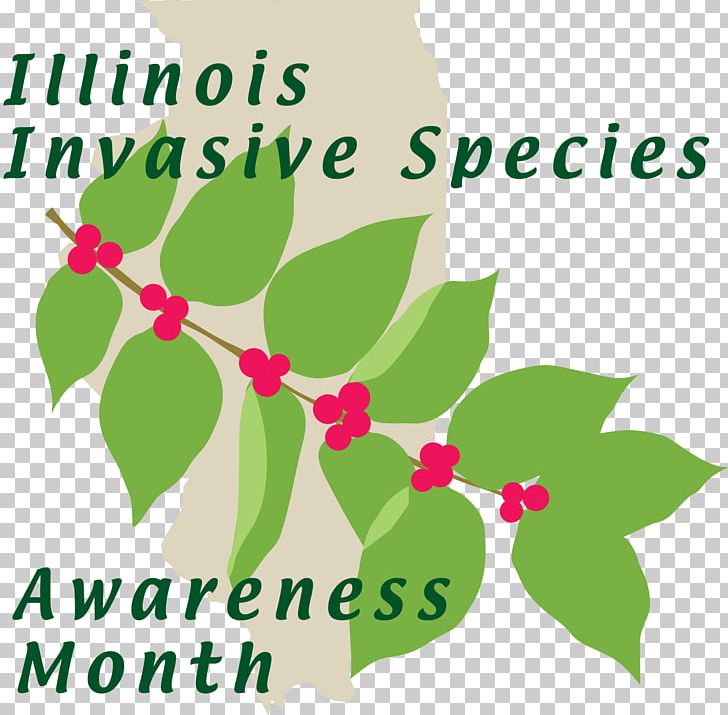 Illinois Invasive Species Amur Honeysuckle Shrub Plants PNG, Clipart, Branch, Flora, Flower, Flowering Plant, Forest Free PNG Download