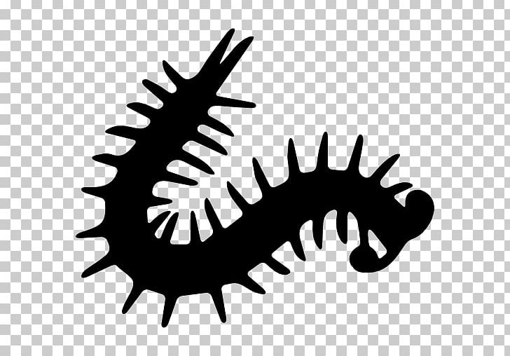 Millipedes Centipedes Computer Icons PNG, Clipart, Animal, Artwork, Black And White, Centipedes, Computer Icons Free PNG Download
