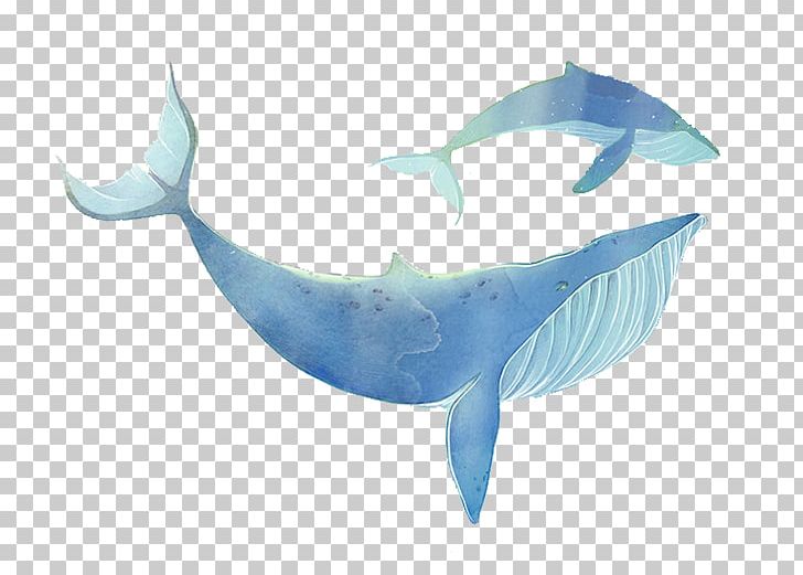 Shark Creativity PNG, Clipart, Animals, Aqua, Computer Wallpaper, Creative, Creative Sharks Free PNG Download