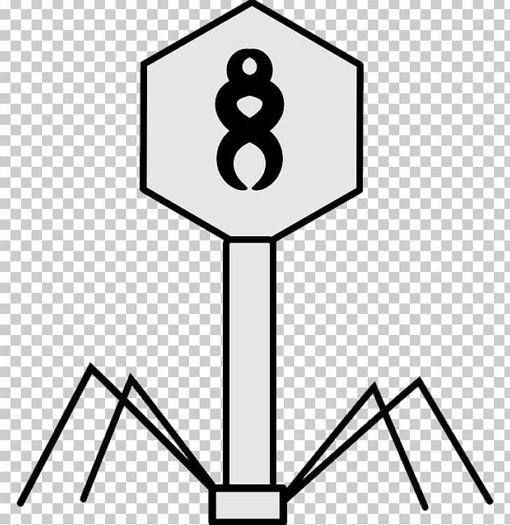 Bacteriophage Lambda Phage Bacteria PNG, Clipart, Angle, Area, Art, Artwork, Bacteria Free PNG Download